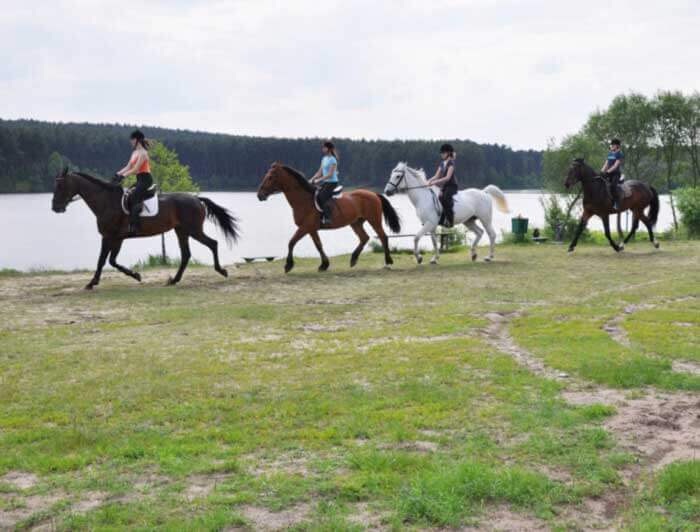 nauka jazdy konno Starachowice